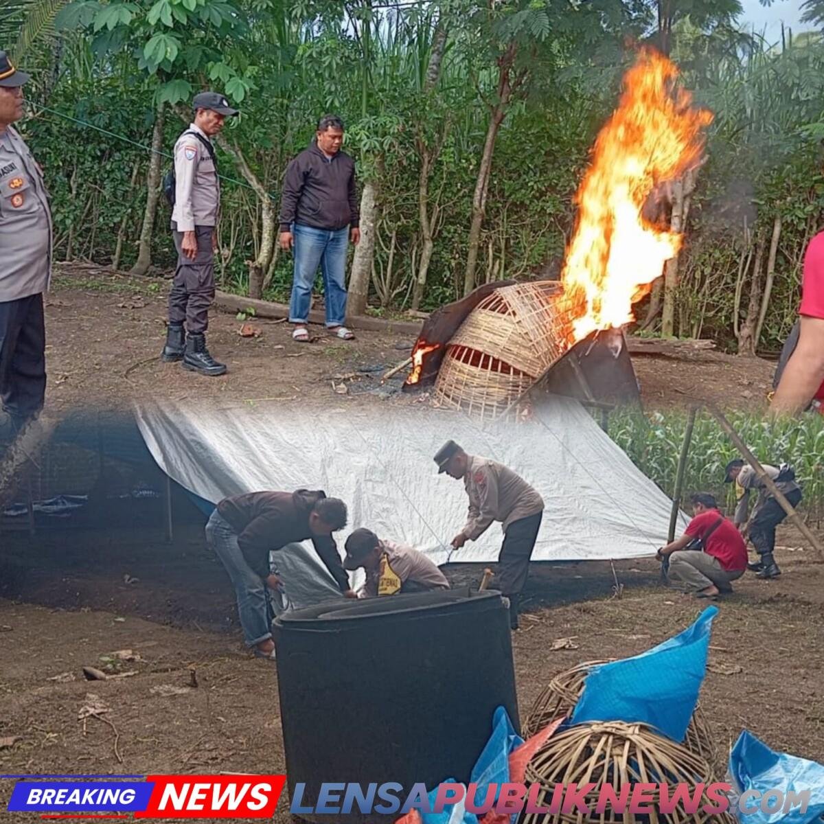 InCollage_20260105_061313325