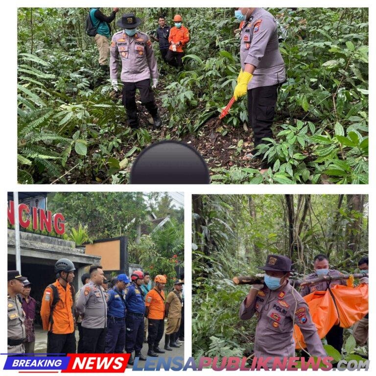 InCollage_20260126_221611356