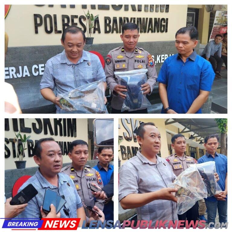 InCollage_20260206_140904376