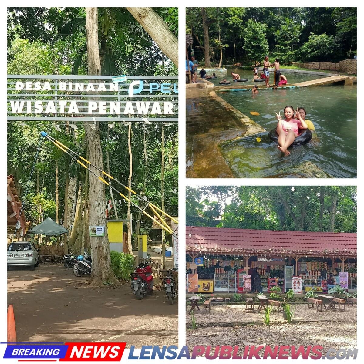 InCollage_20260208_105855556