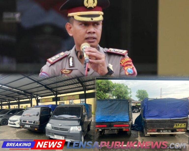 InCollage_20260217_085253899