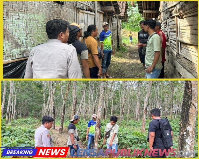 InCollage_20260409_204535983