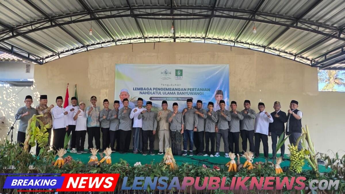IMG-20260813-WA0178(1)